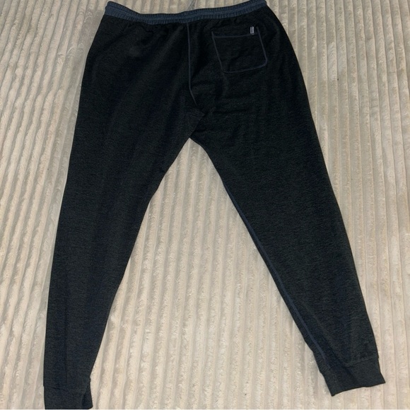 Marine Layer Gray Joggers with Blue Accents - Picture 6 of 6